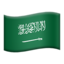 🇸🇦